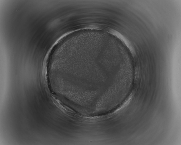 X0000086910923200705141659