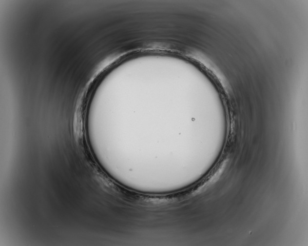 X0000086910925200705141659