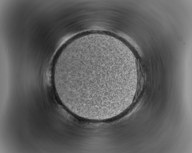 X0000086910926200705141659