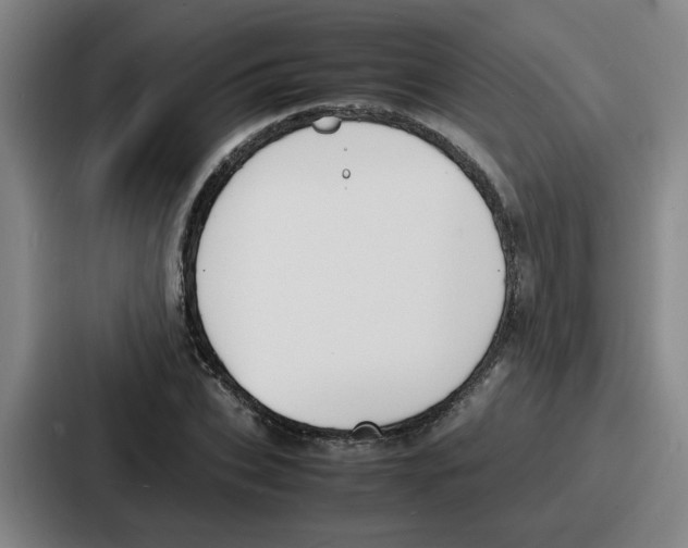 X0000086910927200705141659