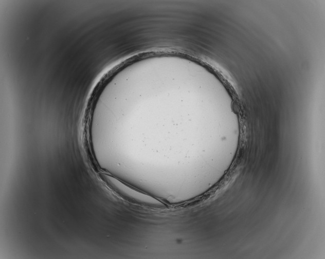 X0000086910928200705141659