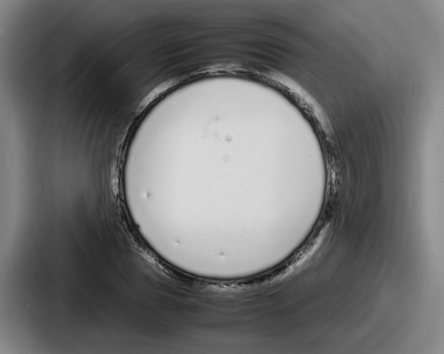 X0000086910929200705141659