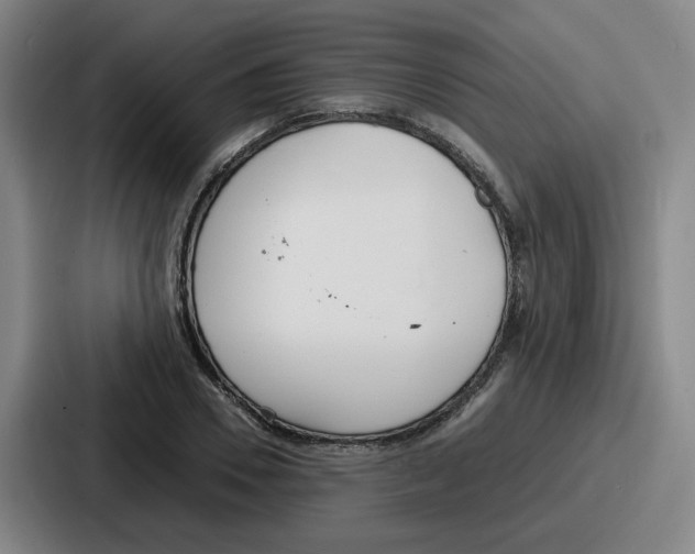 X0000086910930200705141659