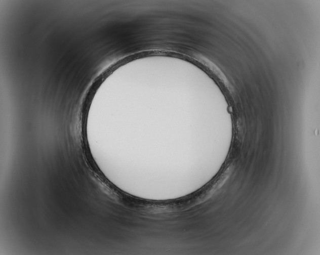 X0000086910931200705141659