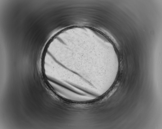 X0000086910932200705141659