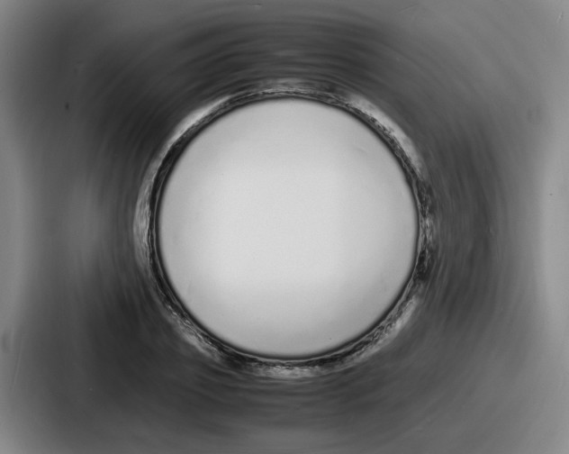 X0000086910933200705141659