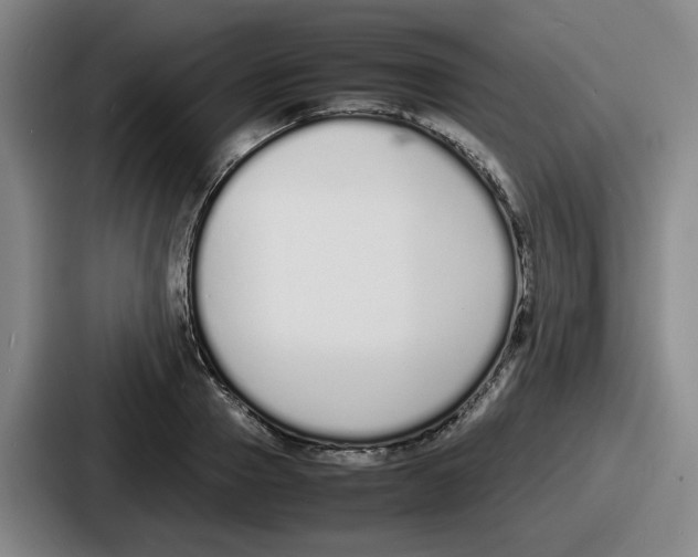 X0000086910937200705141659