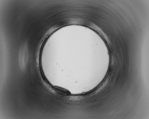 X0000086910938200705141659