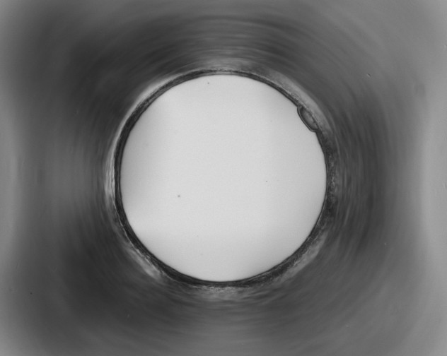 X0000086910940200705141659