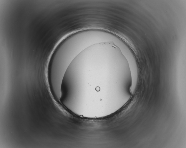 X0000086910942200705141700