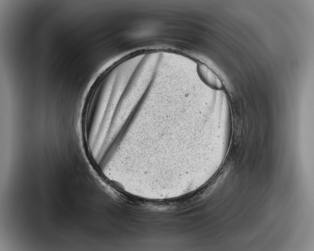 X0000086910943200705141700