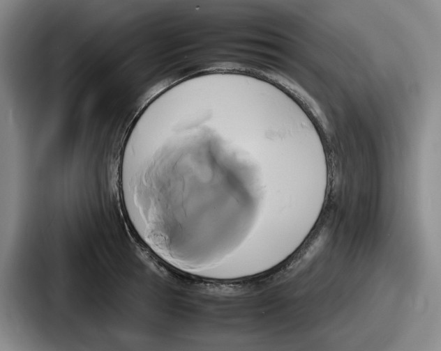 X0000086910945200705141700