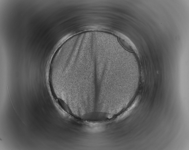 X0000086910946200705141700