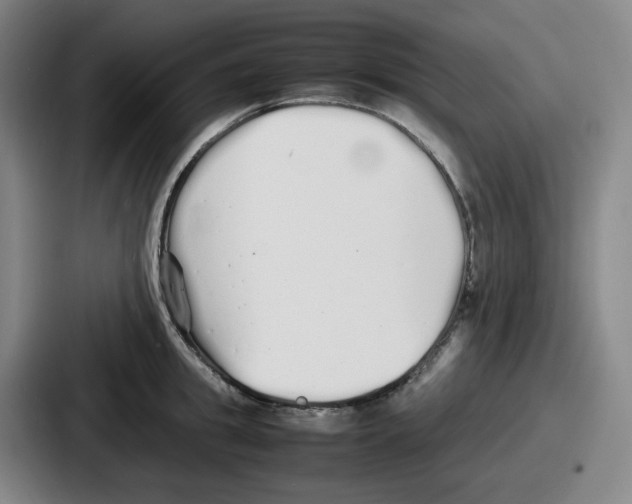 X0000086910949200705141700