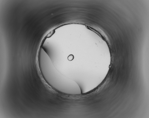 X0000086910952200705141700