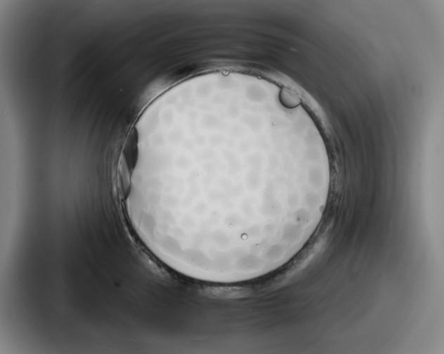 X0000086910953200705141700