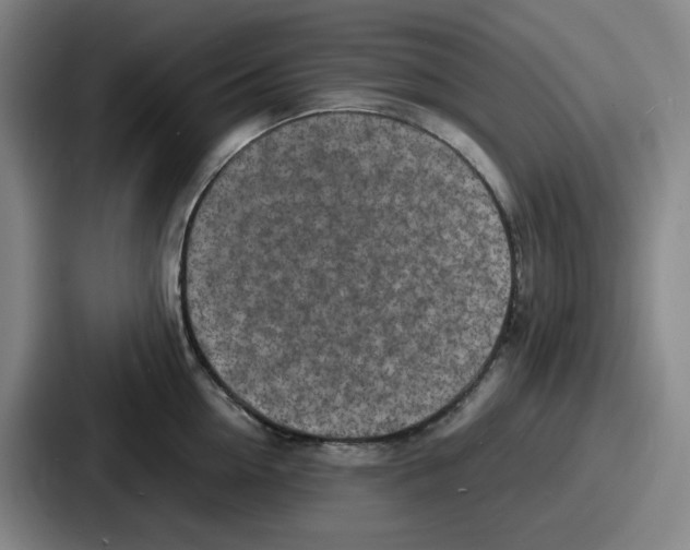 X0000086910954200705141700