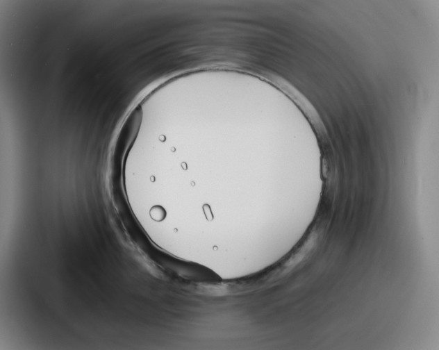 X0000086910956200705141700