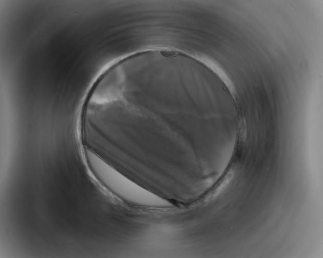 X0000086910958200705141700