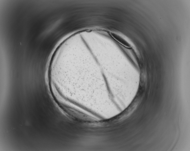 X0000086910959200705141700