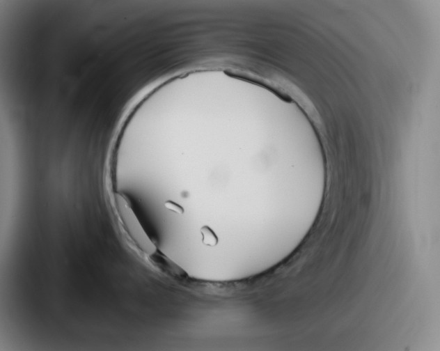 X0000086910960200705141700