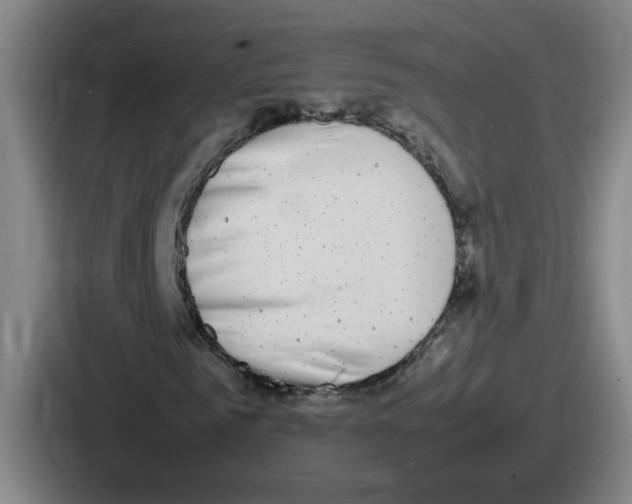 X0000086910961200705141659