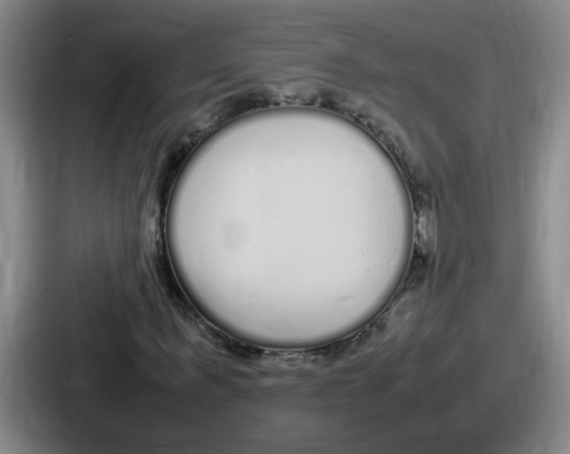 X0000086910963200705141659