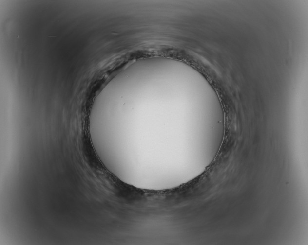 X0000086910965200705141659