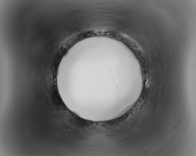 X0000086910966200705141659