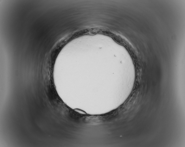 X0000086910967200705141659