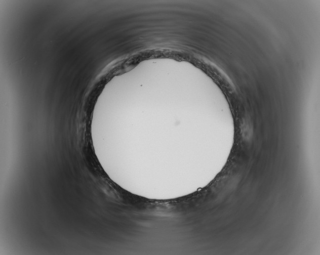 X0000086910968200705141659