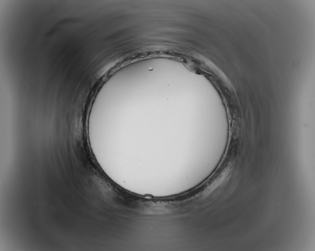 X0000086910969200705141659