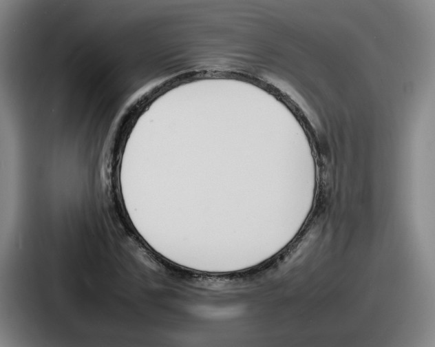 X0000086910971200705141659