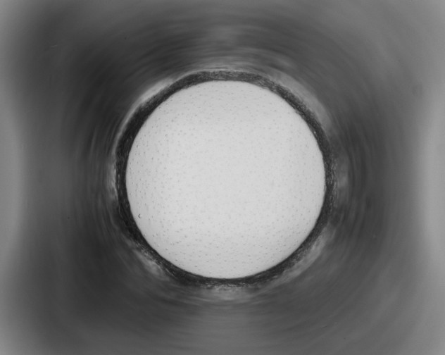 X0000086910974200705141659