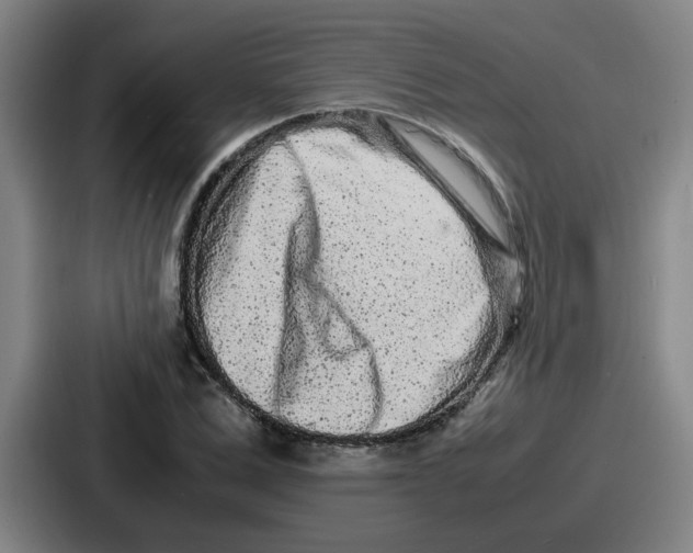 X0000086910975200705141659