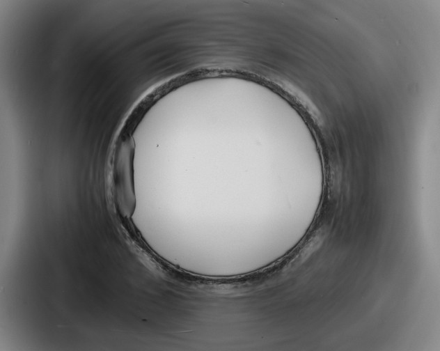 X0000086910976200705141659