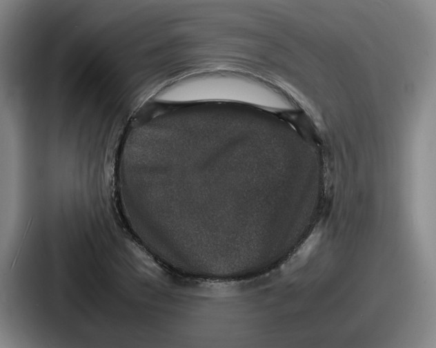 X0000086910977200705141659