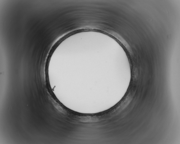 X0000086910980200705141659