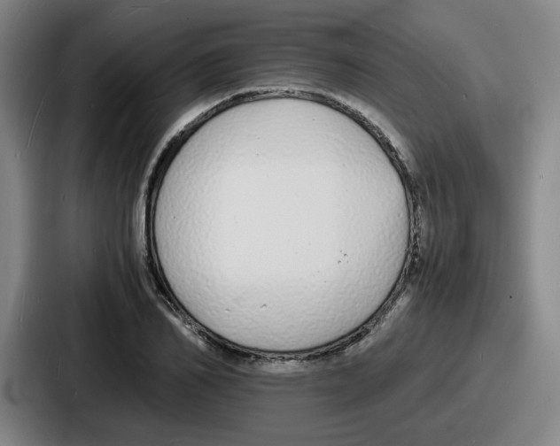 X0000086910982200705141659