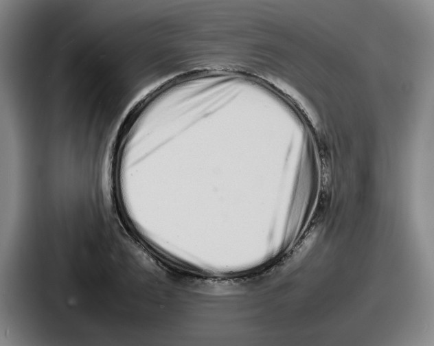 X0000086910983200705141659