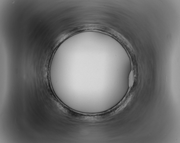 X0000086910985200705141659