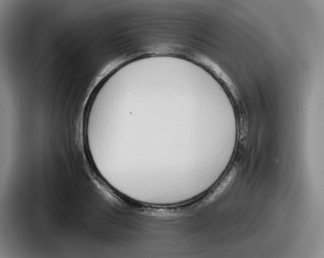 X0000086910986200705141659