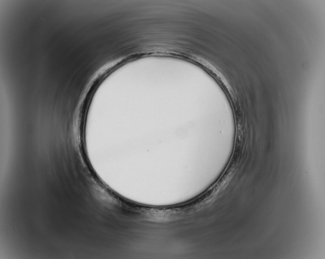 X0000086910987200705141659