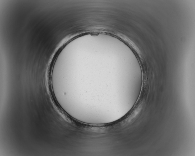 X0000086910989200705141659