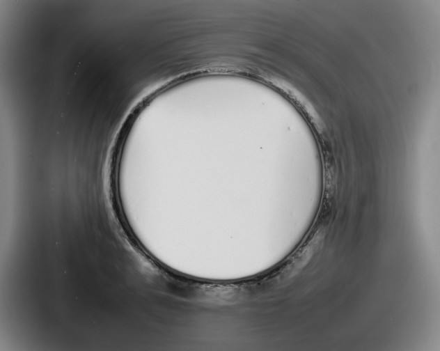 X0000086910991200705141659