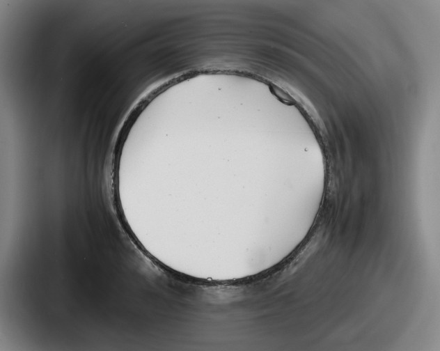 X0000086910992200705141659