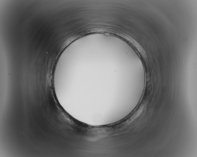 X0000086910993200705141659