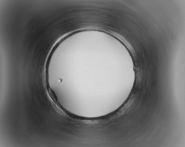 X0000086910996200705141659