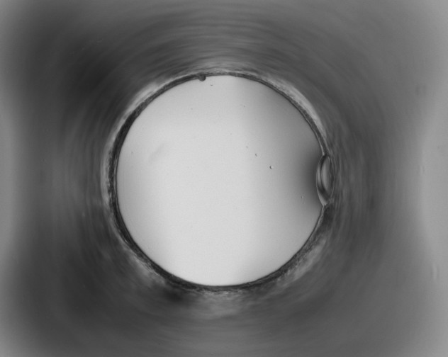 X0000086910997200705141659