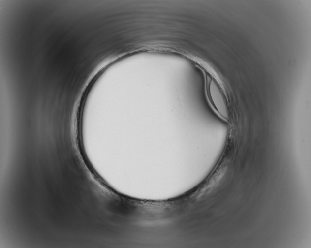 X0000086910999200705141659